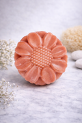 Clay Soap